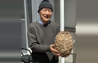 音楽専門教室ムジークハウス
