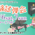 YPS体験試弾会12月